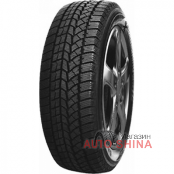 Doublestar WINTERKING DW02 205/65 R15 94T